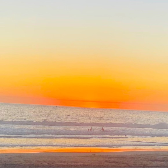 Meet your Posher, Onca - Picture 1 of 1